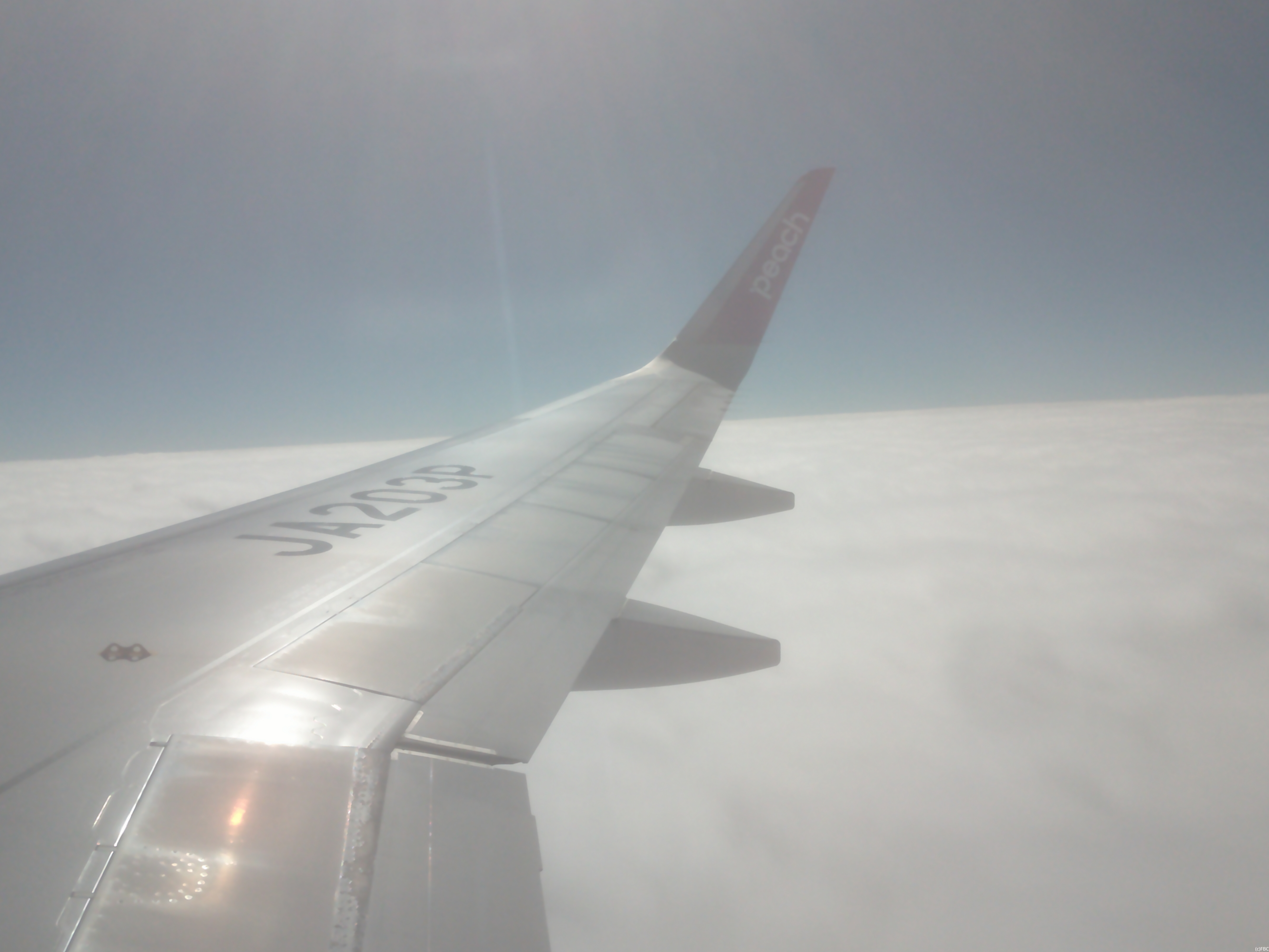 ステキなプラス１を